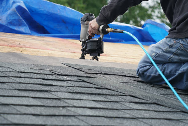 Quick and Trustworthy Emergency Roof Repair Services in Little Falls, MN