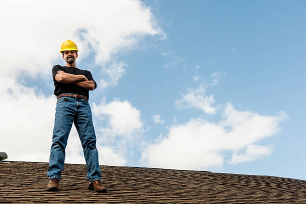 Best Roofing Contractors for Homes  in Little Falls, MN
