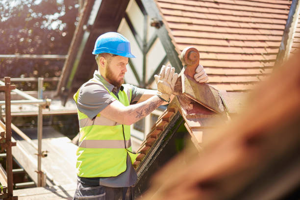 Best Roof Maintenance Services  in Little Falls, MN