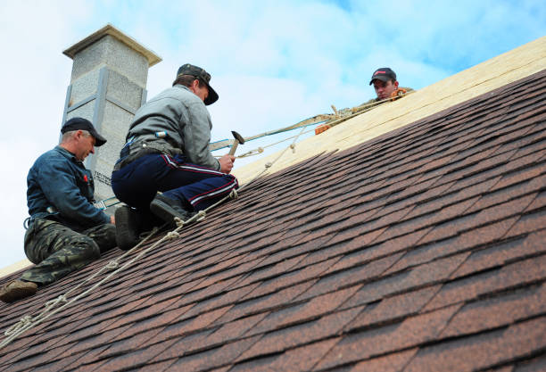 Best Roof Repair Specialists  in Little Falls, MN