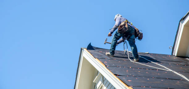 Best Emergency Roof Repair  in Little Falls, MN